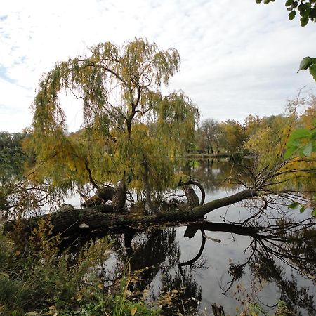 Hotel L'Ile Du Saussay Itteville Zewnętrze zdjęcie