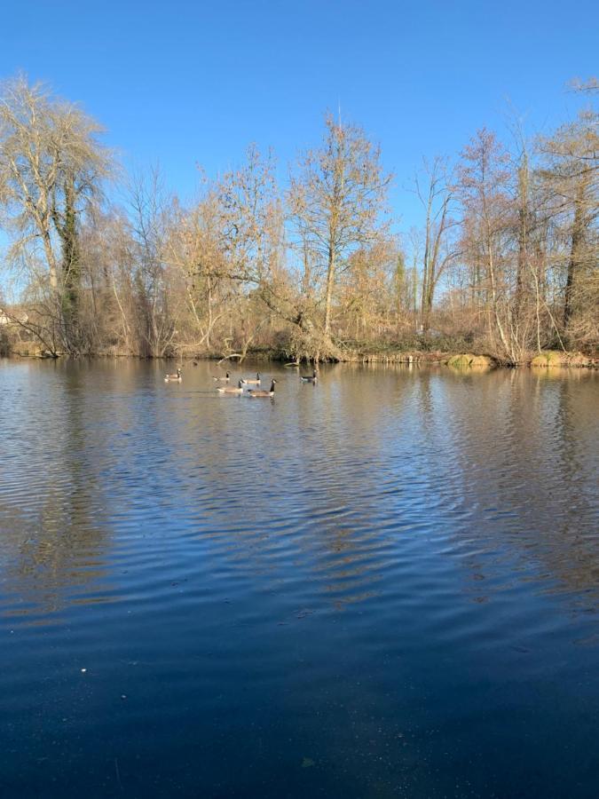 Hotel L'Ile Du Saussay Itteville Zewnętrze zdjęcie