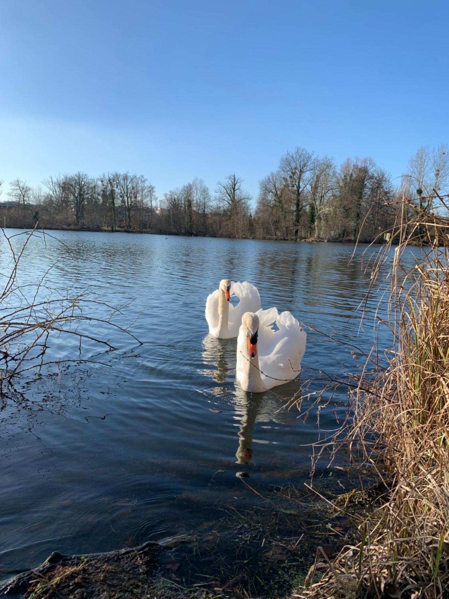 Hotel L'Ile Du Saussay Itteville Zewnętrze zdjęcie